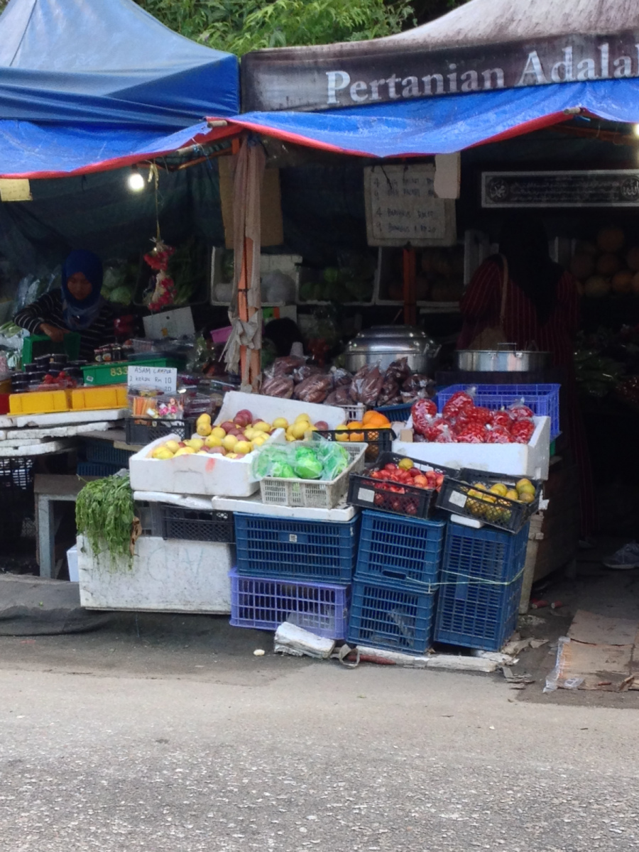 Koupit si můžete spoustu druhů známého i méně známého ovoce, Cameron Highlands, Malajsie