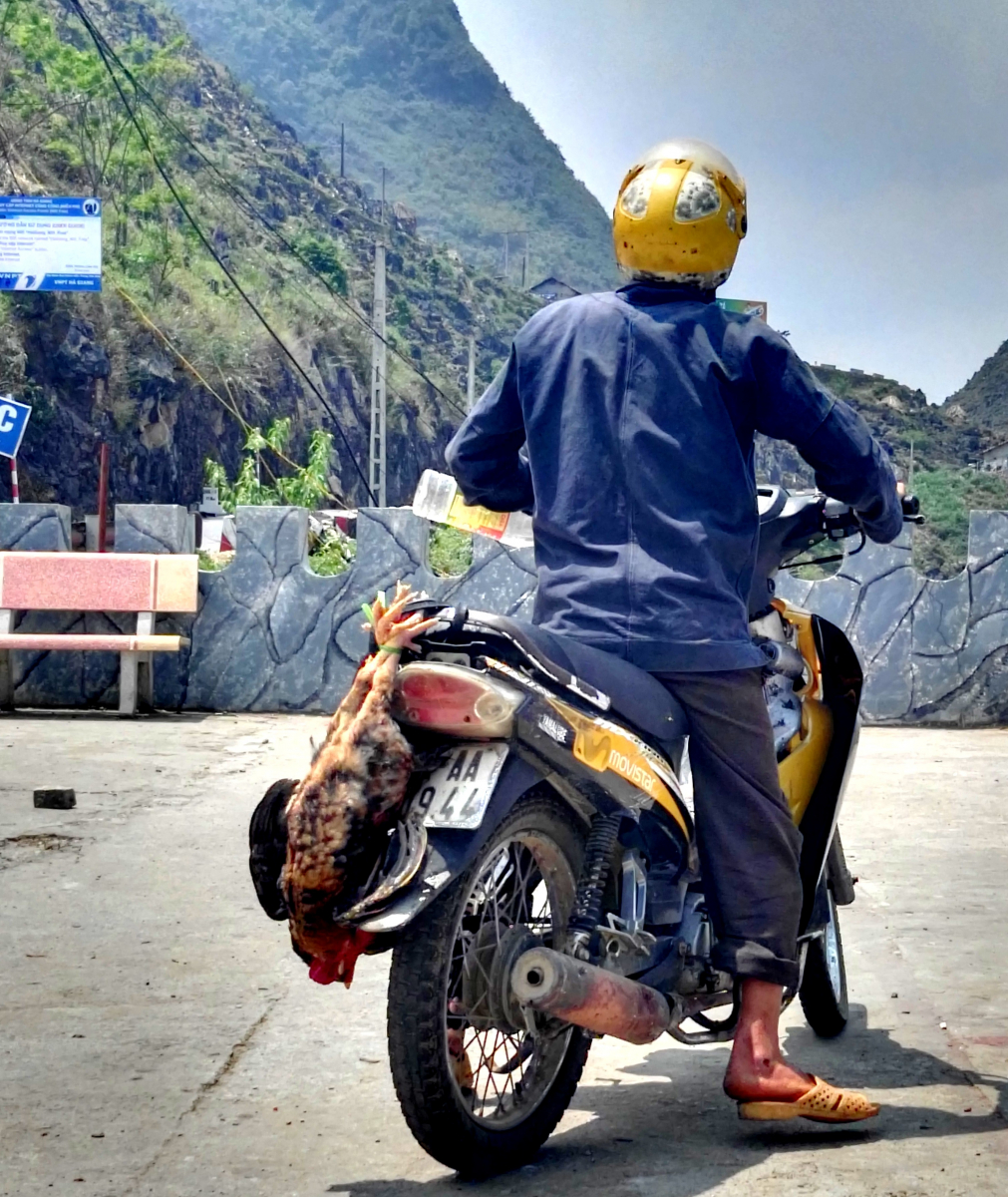 Ve Vietnamu převezeš na motorce všechno. Ha Giang loop, Vietnam