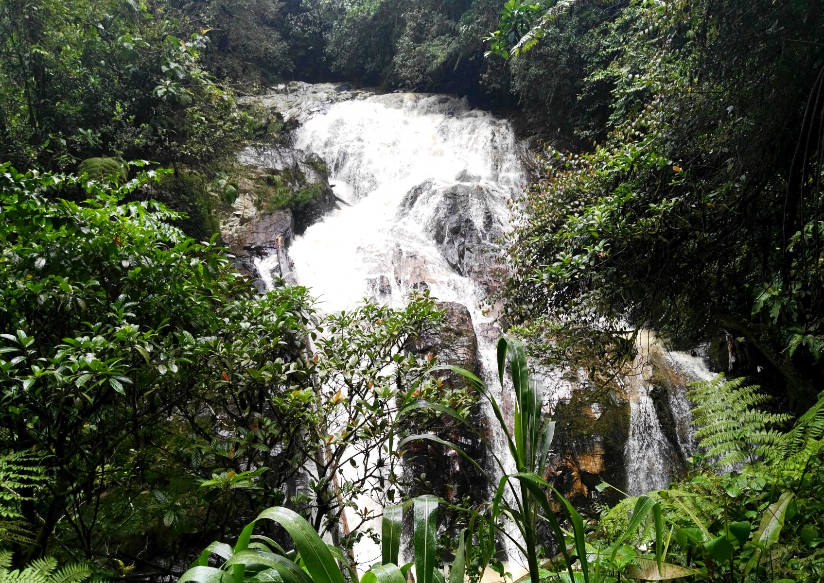 Robinson Falls, Cameron Highlands, Malajsie