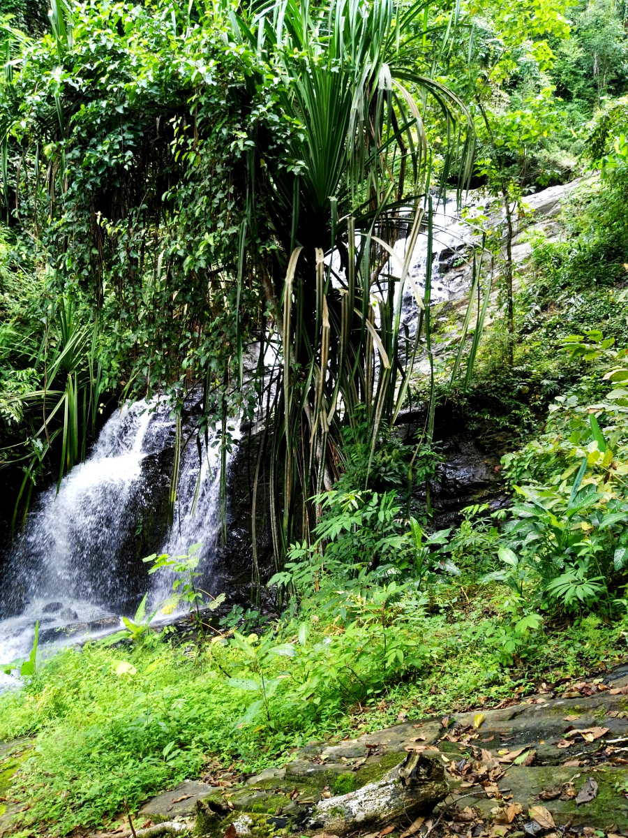 Durian waterfall, Langkawi, Malajsie