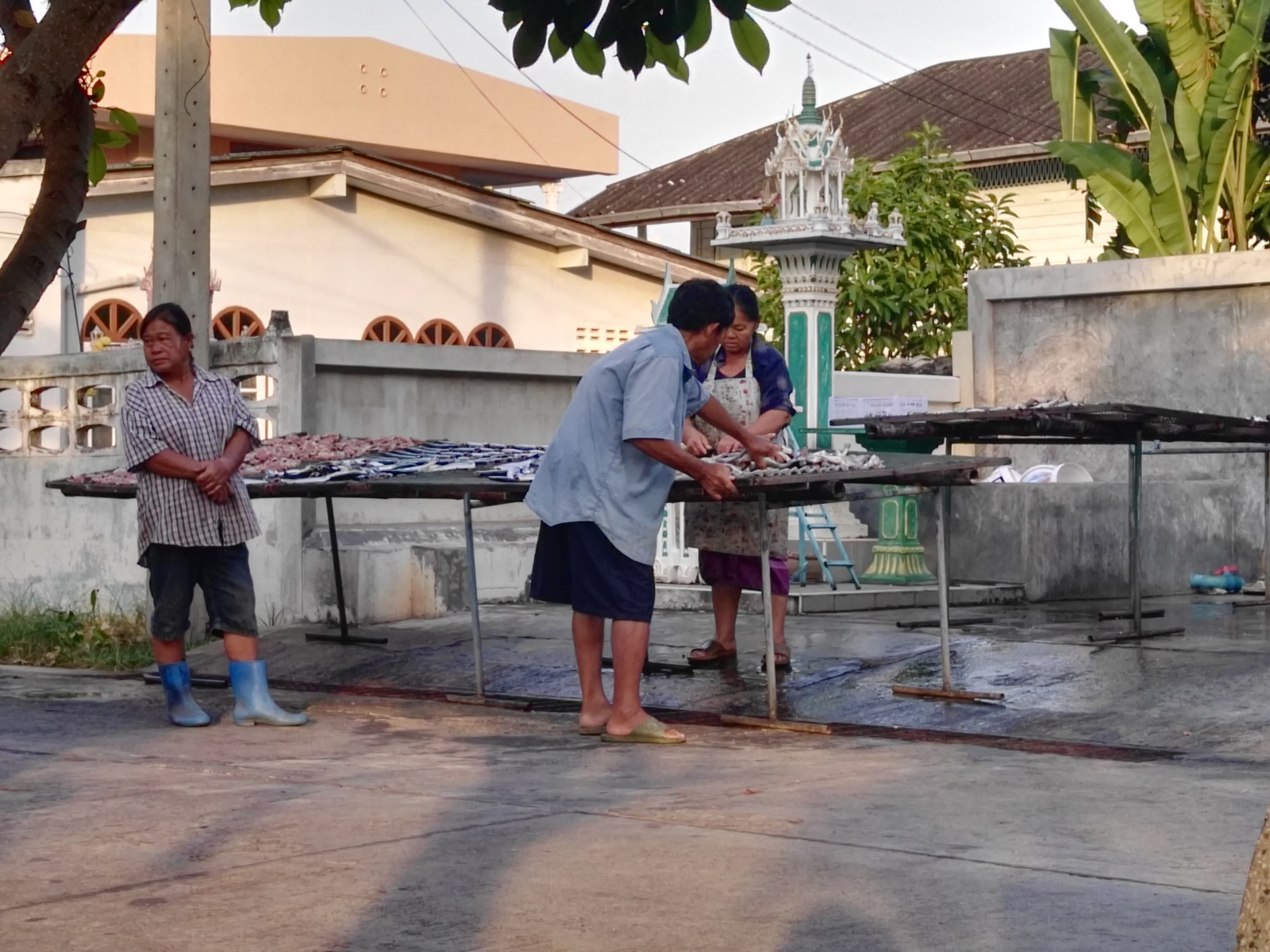 Ano, jak jsme tušili, vzbudili jsme se mezi sušáky s rybami, Khlong Van, Thajsko