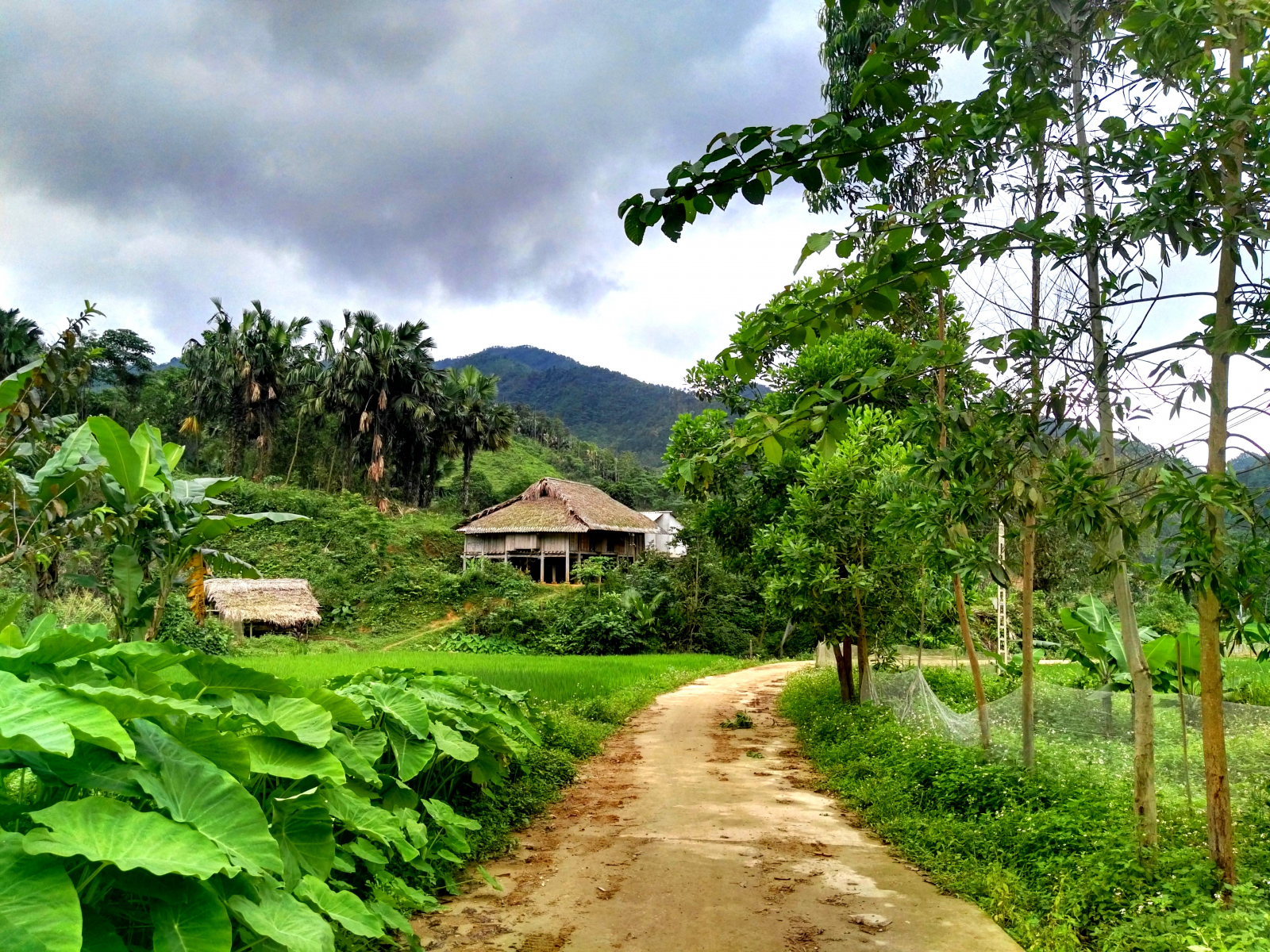 A poklidné vesničky, Yen Binh, Vietnam
